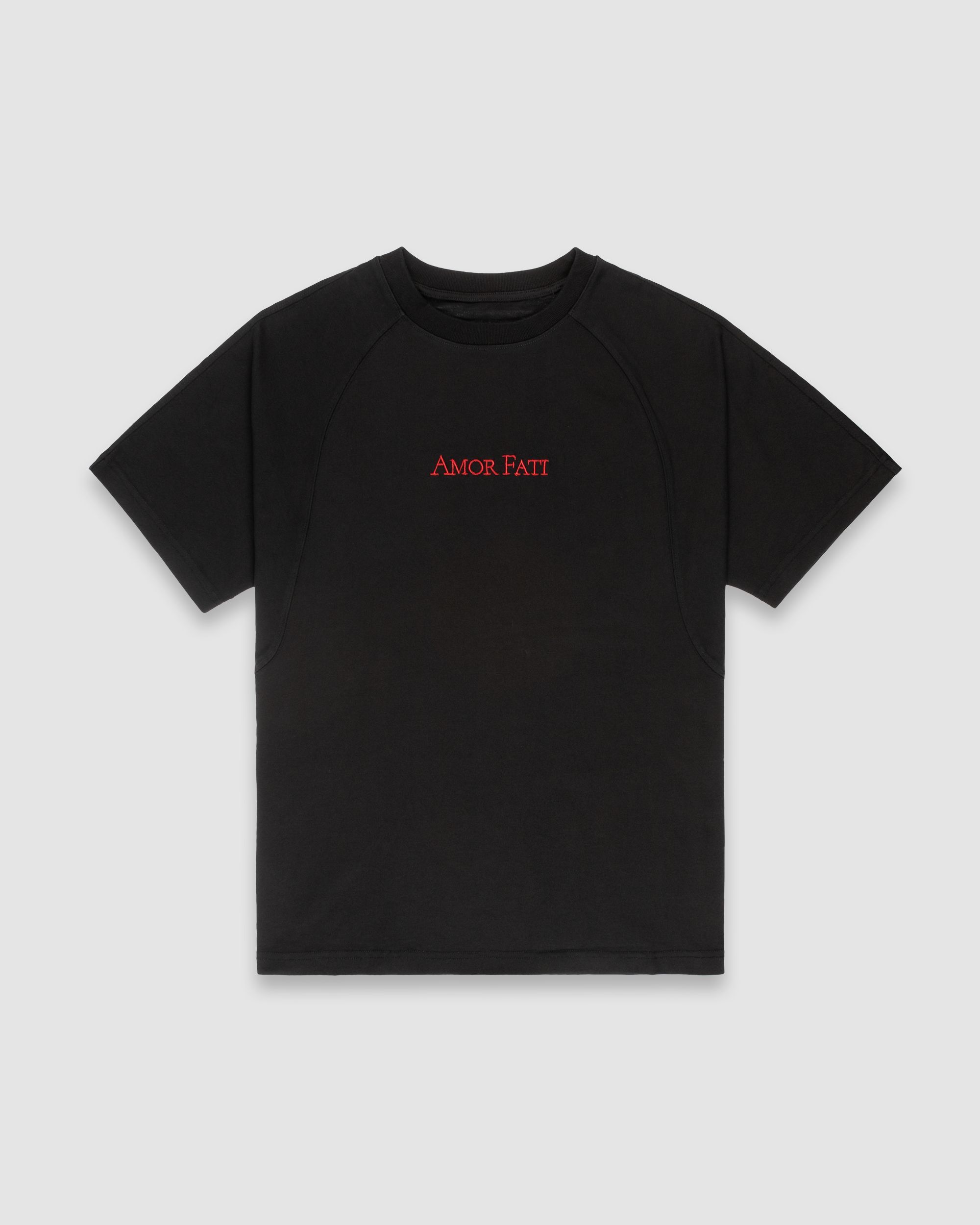 amor fati t-shirt, black