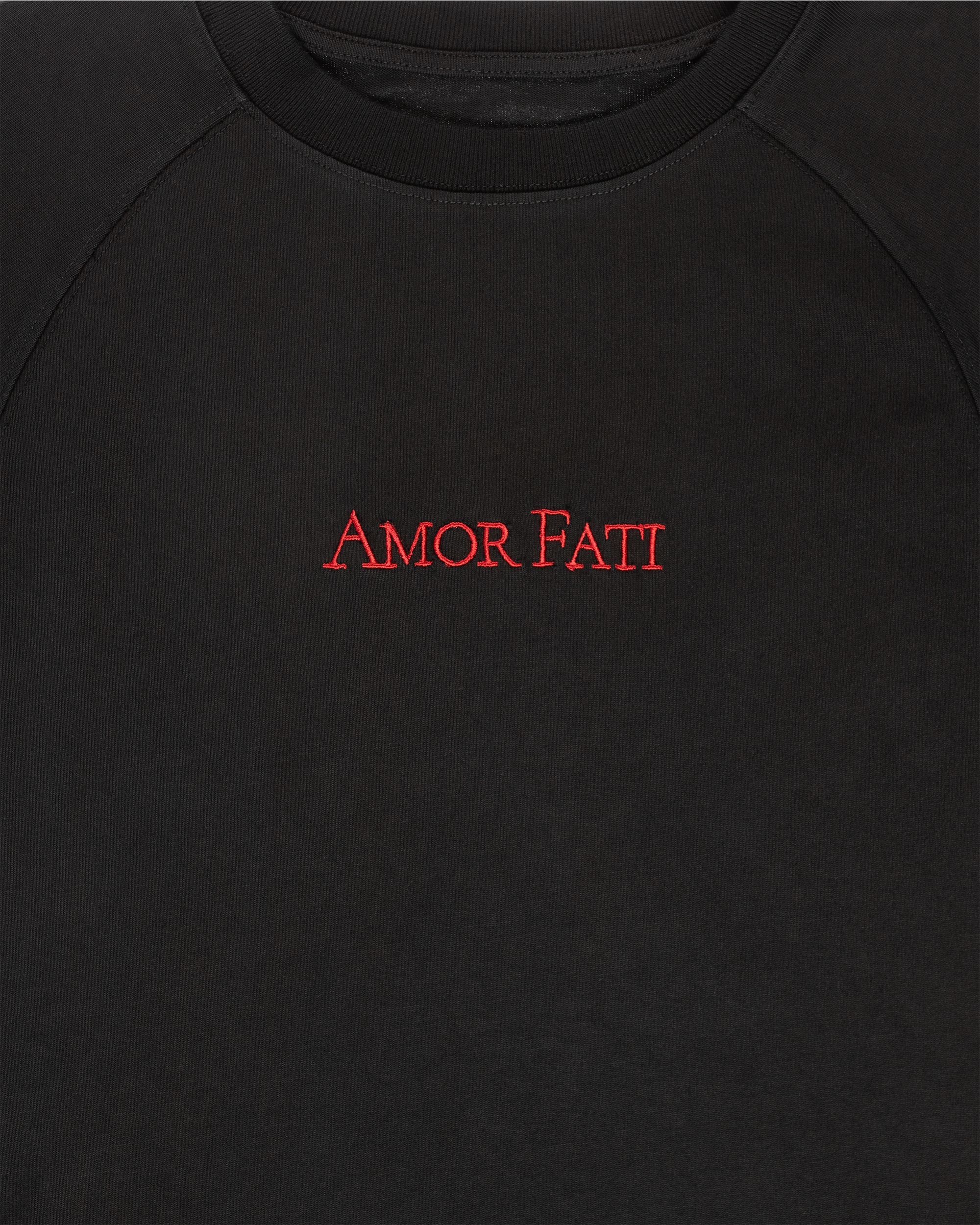 amor fati t-shirt, black