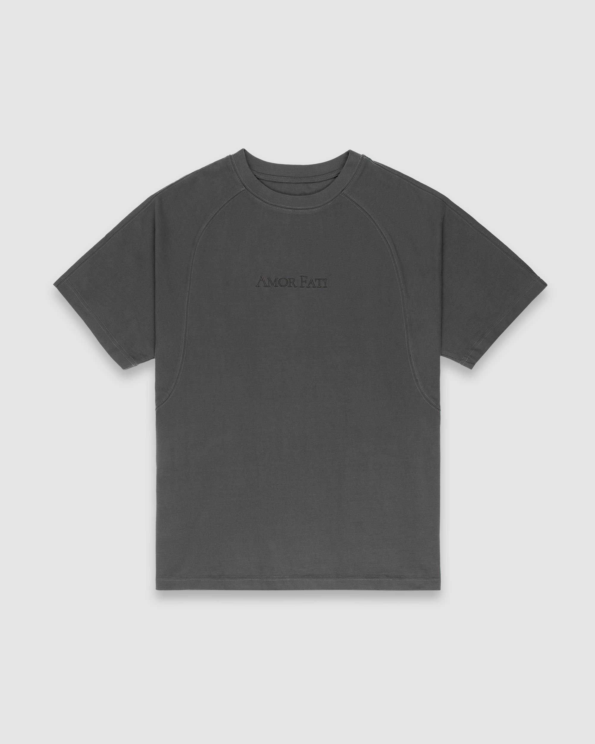 amor fati t-shirt, grey