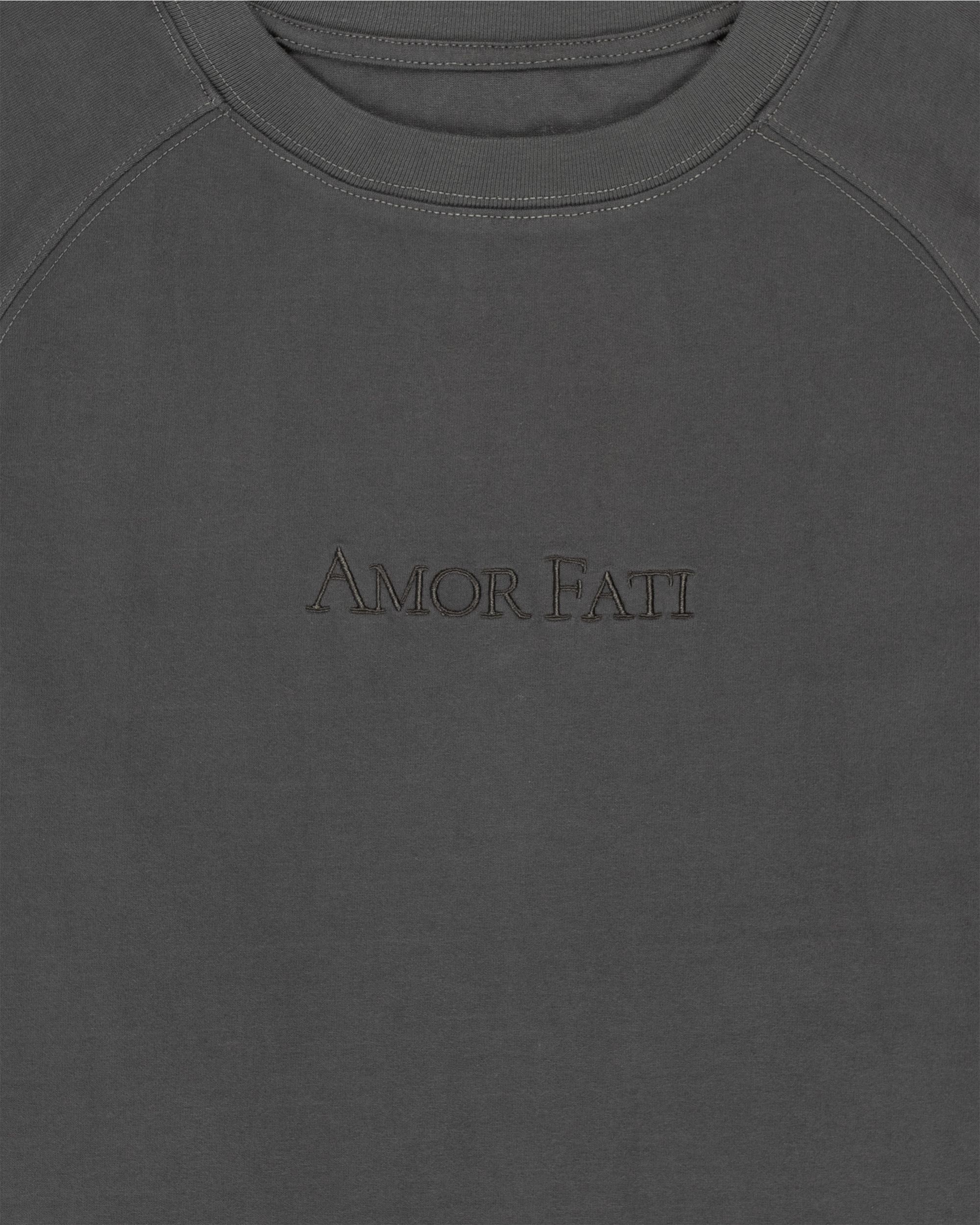 amor fati t-shirt, grey