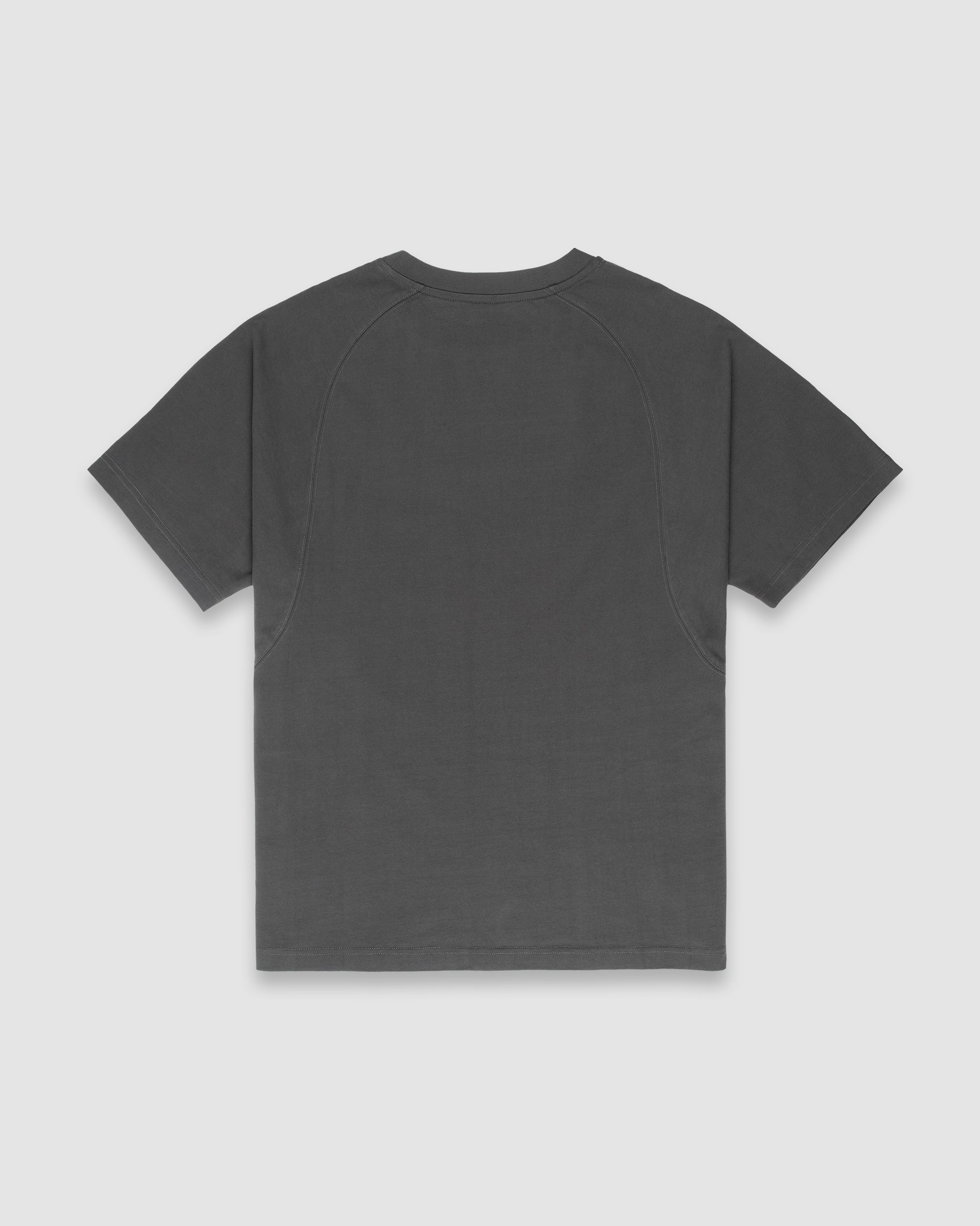 amor fati t-shirt, grey